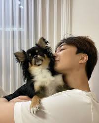 Jeongmin Animals Dogs