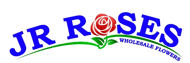 We did not find results for: Wholesale Flowers In Bulk For Wedding And Events J R Roses Wholesale