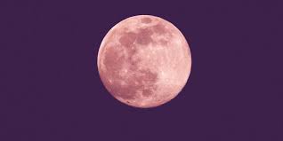 Copyright 2021 nexstar media inc. Pinker Mond Dieses Himmelsphanomen Kannst Du Heute Beobachten Desired De