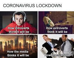 Nature is healing, we are the virus. Quarantine Lockdown Meme 1 Memes