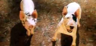 This page was a draft for a chapter on this topic that has now been published in its finished form in my book telenothians, which is available here. From Movie Babe Pig In The City English Bull Terriers English Bull Dog Love