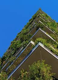 Here you can explore hq green building transparent illustrations, icons and clipart with filter setting like size, type, color etc. 100 Sustainability Pictures Download Free Images On Unsplash