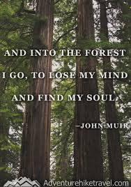 We did not find results for: 25 John Muir Quotes To Inspire Wanderlust Adventure Hike Travel