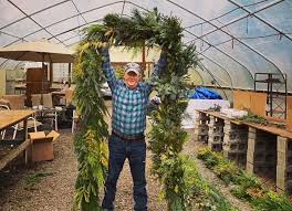 Portland and pendleton each see about eight more of those hot days annually. Find Plants And Landscape Services Plant Something Oregon