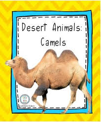 (the ship of the desert). God Makes The Desert Animals Camels Bible Fun For Kids
