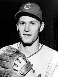 Cubs player wins NL gold glove award