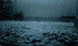 The site owner hides the web page description. æ¾³å¤§åˆ©äºžé™é›¨é æ¸¬