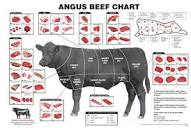 What part of the cow is beef brisket? - Quora