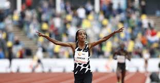 Jun 06, 2021 · netherlands' sifan hassan competes on her way to victory (photo by martin bureau, afp). Athlete Hassan Breaks 10 000 Meters World Record By 10 Seconds Netherlands News Live