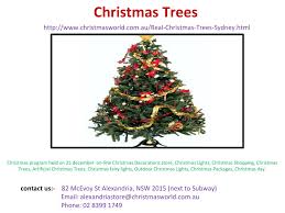 Christmas is generally celebrated on christmas day, the 25th of december. Christmas Trees By Christmas Lights Issuu