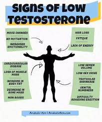 However, people with this genetic can also experience hair loss as early as their teens and early twenties. I M 30 And Bald What Does It Says About My Testosterone Is It High Or Low Quora