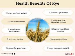 Barley health benefits includes improving digestion, helps with weight loss, protects against gallstones, support the skin, prevent asthma, prevent heart disease, a good source of antioxidants. Rye Benefits And Its Side Effects Lybrate