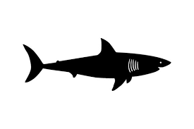Download Great White Shark Svg Cut File By Creative Fabrica Crafts Creative Fabrica