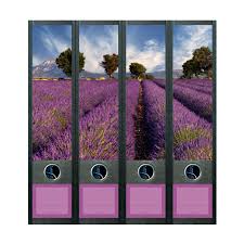 Ordnerrücken lassen sich einfach mit word erstellen & ausdrucken. Geschenkwichtel Ordner Ruckenschilder Provence Ordner Etiketten Im Set