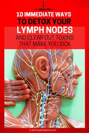 10 Immediate Ways To Detox Your Lymph Nodes Lymph Nodes Detox Lymph Nodes Lymphatic System