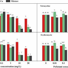 Image result for Ottelia kunenensis