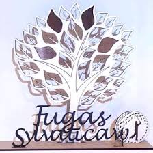 313,352 likes · 5,061 talking about this. Fugas Sylvaticaw Bvba Golf Vastgoed Home Facebook