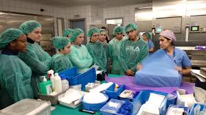 961 845 099 961 845 099. Cae Visita El Hospital De Manises Cipfp Mislata