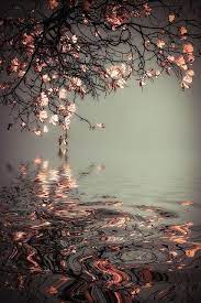 Anasayfa/duvar kağıtları/haftanın en güzel duvar kağıtları. Haftanin En Iyi Duvar Kagitlari 2 Eylul Shiftdelete Net