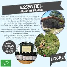 Producteurs De L Arbre A Pain A Aurillac Page 2