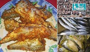 14 cara menanam jeruk nipis yang sebenarnya dapat dilakukan dengan cukup mudah untuk diaplikasikan di rumah dengan alat dan bahan bagi pemula, jeruk nipis merupakan tanaman yang cukup lama untuk dibudidayakan. Cara Buat Ikan Pekasam Tenggiri Homemade Rahsia Pastikan Isi Ikan Tak Kecut Port Makan