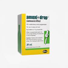 Image result for Amoxicillin