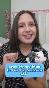 Even Shrimps Want Sea Bream Drama