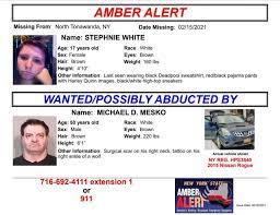 Jun 22, 2021 · the emergency alert system (eas) is a national public warning system commonly used by state and local authorities to deliver important emergency information, such as weather and amber alerts, to affected communities. Amber Alert Issued For Teen In North Tonawanda