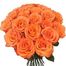 Save money by purchasing wholesale flowers online with flower explosion flower explosion also offers a number of deals on wholesale flowers and flower supplies online. 20 Buy Beautiful And Fresh Roses Online And Send It To Pondicherry India Ideas In 2021 Send Flowers Beautiful Flowers Buy Flowers Online