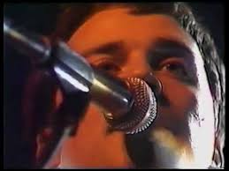 Image result for Pink Frost 1988 Colt