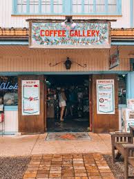 Surfin' tacos da kine quesadilla gnarly nachos sunset salad beach burrito keiki taco The Best Places To Eat Drink On Oahu S North Shore A Foodies Guide