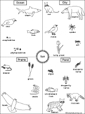 Add these free printable science worksheets and coloring pages to your homeschool day to reinforce science knowledge and to add variety and fun. Food Chain Activities Enchantedlearning Com