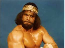 Buyers guide and investment outlook. Best 30 Randy Savage Fun On 9gag