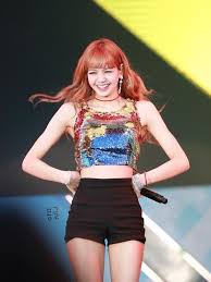 Stir together until the hair dye and shampoo are completely blended. Blackpink Body Hair Blackpink Reborn 2020