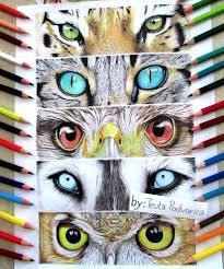 Animals Eye Drawing By Teuta Podvorica Eye Drawing 7th Grade Art Eye Art