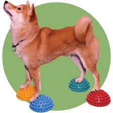 Improve your furry friend's balance with the fitpaws dog paw pods. Fitpaws Paw Pods With Anti Skid Bottom 4 My Merles Creations