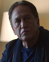 CSI: Miami" Losing Face (TV Episode 2002)