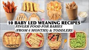 We did not find results for: 10 Baby Led Weaning Recipes Finger Food For Babies From 6 Months Toddlers Blw 6 Months Recipes Youtube