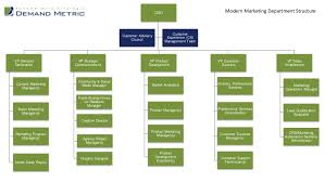 Modern Marketing Department Structure