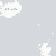Image result for Platycoryne protearum