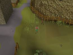 This quest only requires you to have 25 agility and the ability to kill a level 172 black demon (safespot possible) the quest reward grants you 7,900 experience which will bring you to level 32. Osrs X Marks The Spot Quest Guide On Lumbridge Bob Decoding The Cipher And More