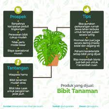 Maybe you would like to learn more about one of these? Bisnis Tanaman Menikmati Ademnya Cuan Ramah Lingkungan Ekonomi Bisnis Com