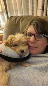 Dog smiling instead of eating ice cream cone