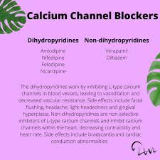 Image result for Calcium Channel Blocker