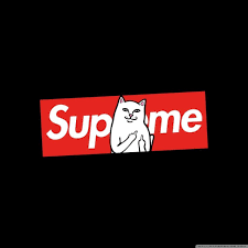 Check spelling or type a new query. Black Supreme Wallpapers 4k Hd Black Supreme Backgrounds On Wallpaperbat