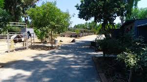 H beauty supply at sunnyside. About Us