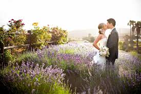 Photo by dave & charlotte. Virginia Beach Wedding Photographers David Champagne Photography