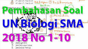 Kunci jawaban un biologi 2017 guru ilmu sosial. Pembahasan Soal Ujian Nasional Biologi Sma 2017 2018 No 1 10 Youtube