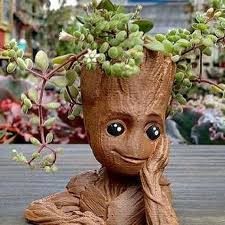 Pin By Melinda Miller On Mel S Garden Of Eden Baby Groot Flower Pots Groot