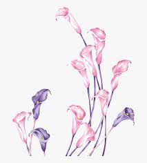 It can grow up to 12 inches or taller and produces purple flowers. Purple Flower Sketch Png Transparent Png Transparent Png Image Pngitem